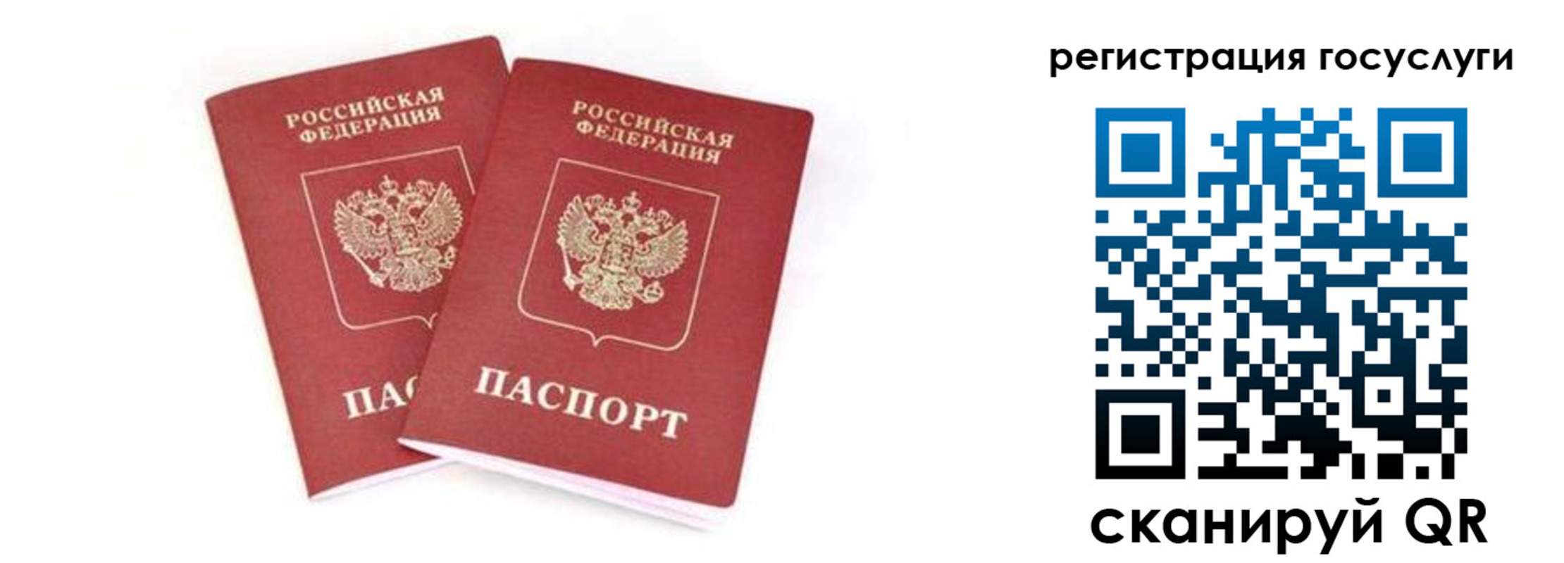 прописка в квартире в Щиграх